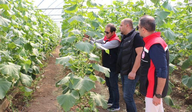 Erzincan'da sektörün yol haritası çiziliyor....