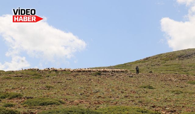 Meralarda Hüzünlü Dönüş Başladı