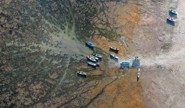 Türkiye'ye ciddi uyarı:  2030'da çöl olabilir!