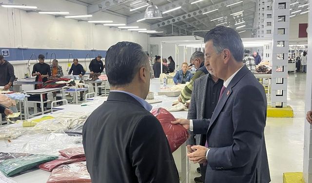 Tanrıverdi sektörün desteklenmesini istiyor.