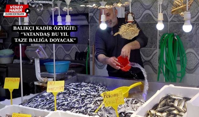 Erzincan’da bu yıl hamsi coştu, palamut kaçtı!