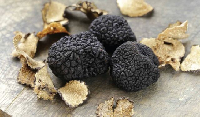 Bayburt'ta 'Kara Elmas' bulundu, Erzincan'da da yetişiyor mu?