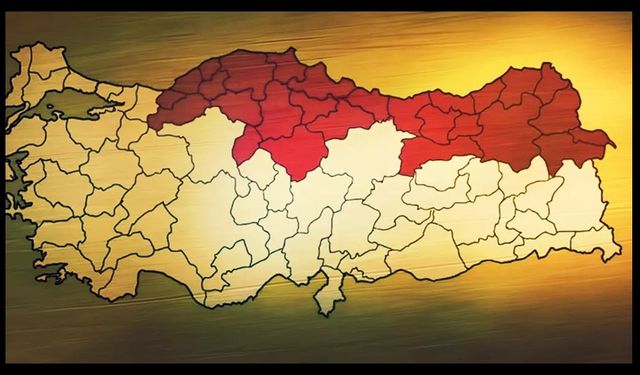 Türkiye'de kahverengi kokarca alarmı!