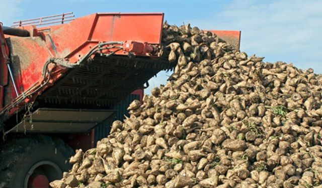 Kelkitli Çiftçi, Erzincan Fabrikasına isyan etti... (VİDEO)