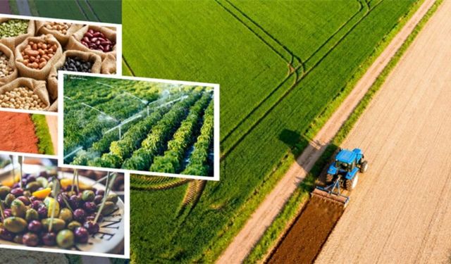 Tarımsal destek ödemeleri başladı