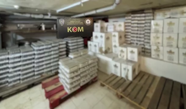 Erzincan dahil 81 ilde operasyon..