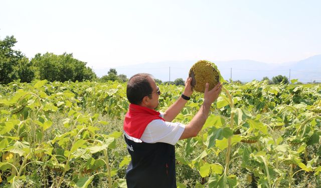 Erzincan Dikkat! B-Reçete uygulaması devreye girdi...