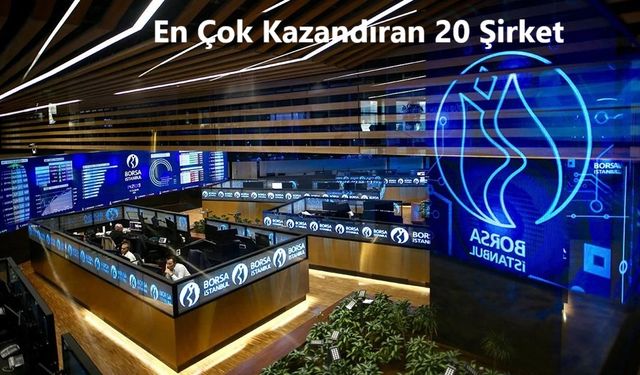 Türkiye'nin en çok kazandıran 20 şirketi açıklandı