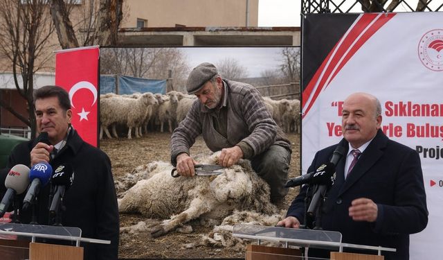Erzincan Milletvekilleri çocukluk anılarıyla geldi, koyun kırkımı gündem oldu