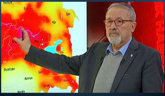 Prof. Dr. Naci Görür Yedisu Fayına dikkat çekti