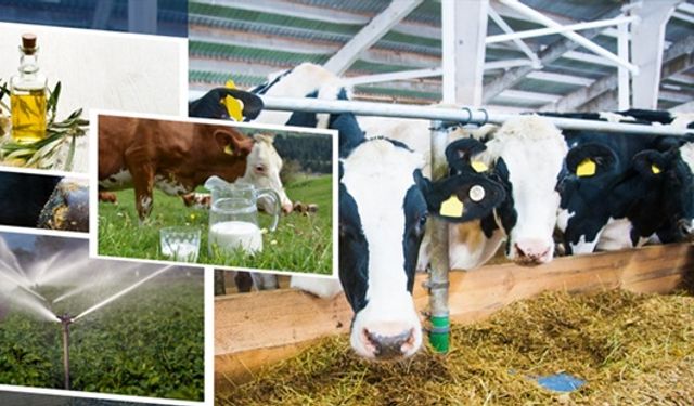 Çiftçilere 2 milyar tarımsal destekleme ödemesi yapılacak