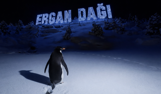 Valilik Nihilist Penguen'i Erzincan'a Getirdi