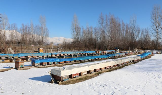 Erzincan'a değer katan sektör yakından takip ediliyor...