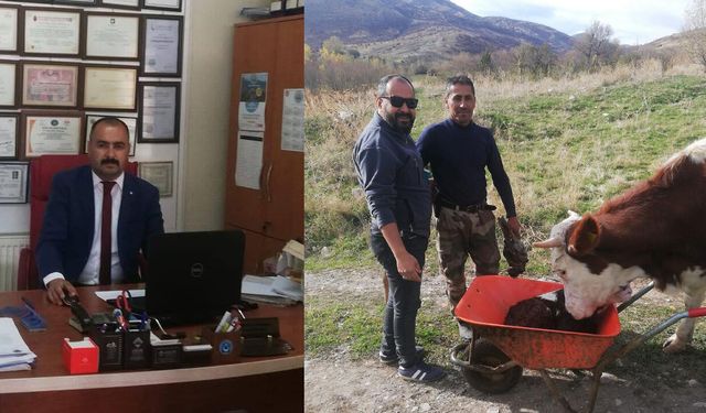 Erzincan'da et fiyatları nereye gidiyor?