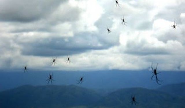 Bilim Açıklamakta Zorlandı: Gökyüzünden Et, Para ve Hayvan Yağdı