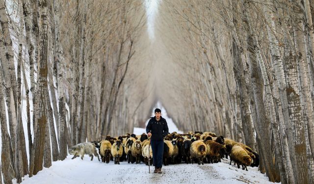 Erzincan Hazırlan! Cumhurbaşkanı Erdoğan büyük projeyi açıkladı...