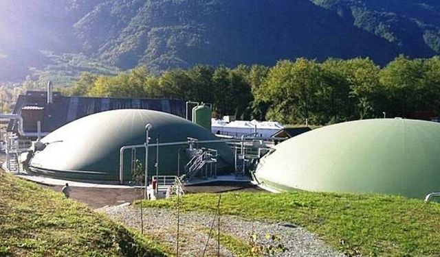 Erzincan’da Hayvan Atıkları Enerjiye Dönüşürse Elektrik Dengesi Değişebilir