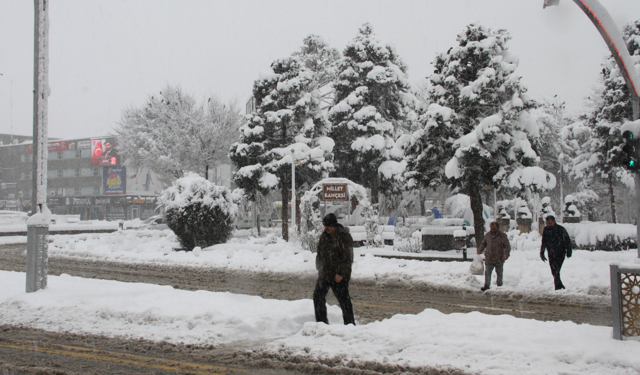 Erzincan'da termometreler çift haneli eksileri gördü!