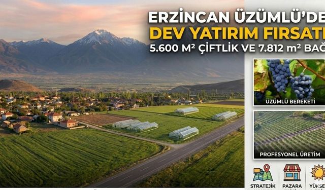 Erzincan’da Kaçırılmayacak Fırsat: Üzümlü’de Dev Proje Alanı!