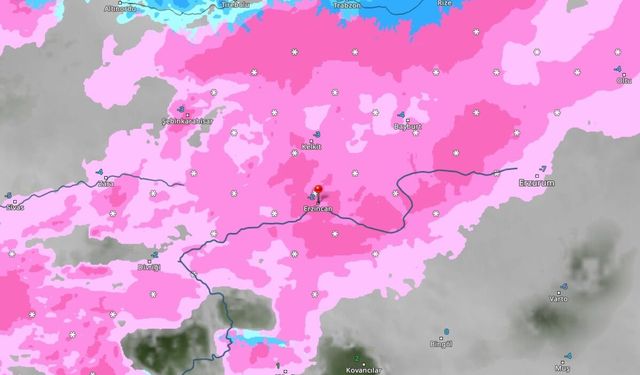 Erzincan’da "Mart Kapıdan Baktıracak"