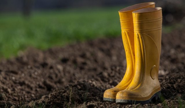 Sarı Çizmeli Mehmet Ağa Hesabı Ödedi mi?