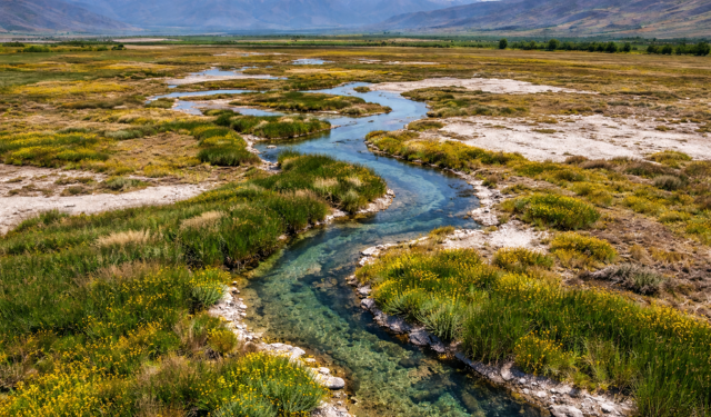 Bilim İnsanlarını Şaşırtan Alan: Erzincan’da Eşsiz Ekosistem