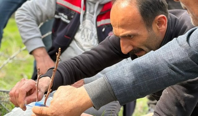 Erzincan Ekibi Sahada: Kars’ta Çiftçilere Budama ve Aşılama Eğitimi