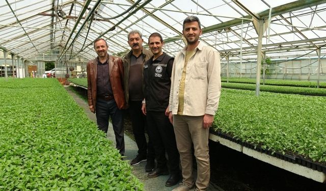 Erzincan’da Üç Aylık Emek Meyvesini Verdi: Bahçe Kültürleri Bölgenin Umudu Oldu!