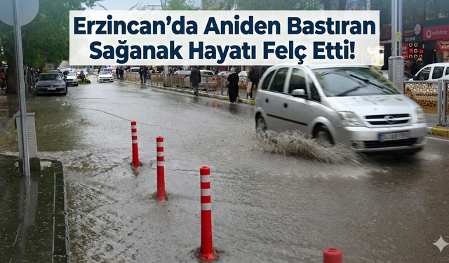 Erzincan’da Gökyüzü Delindi! Sağanak Şehri Esir Aldı, Kargalar Bile Ağaçlara Sığındı