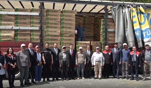 400 Milyonluk Ekonomik Devrim: Erzincan Çiftçisine Fide Yağmuru!