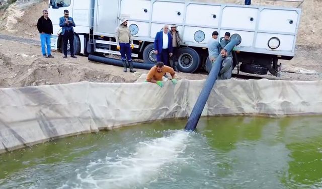Tercan Belediyesi Üretimde Vites Yükseltti