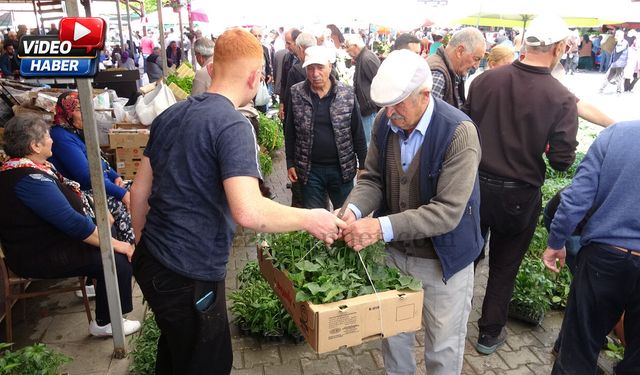 Erzincan’da Bahçe ve Tarlaların Hazırlığı Sürüyor