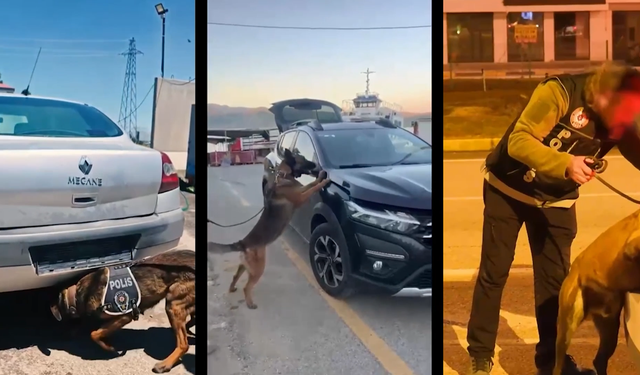 Erzincan Dahil 76 İlde Operasyon: Binlerce Şüpheli Yakalandı!