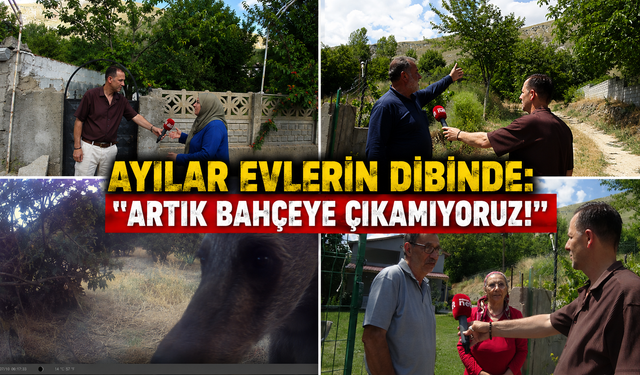 Erzincan Başpınar Mahallesi'nde Ayı Tehlikesi: " Ya Biz Bu Köyü Terk Edeceğiz Ya Da Bu Sorun Bitecek!"