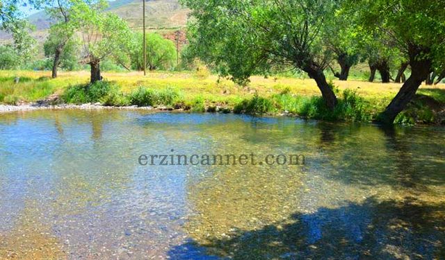 Erzincan Beytahtı Projesi Neden Başlamadı? İşte Sebebi...