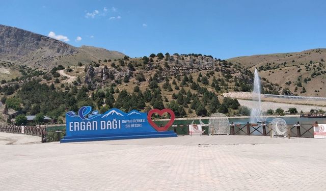 Erzincan Orman İşletme Müdürlüğü Erozyon Kontrol Projesi