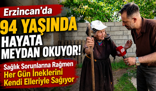 Erzincan'da 94 Yaşında Hayata Meydan Okuyor! Sağlık Sorunlarına Rağmen Her Gün İneklerini Kendi Elleriyle Sağıyor