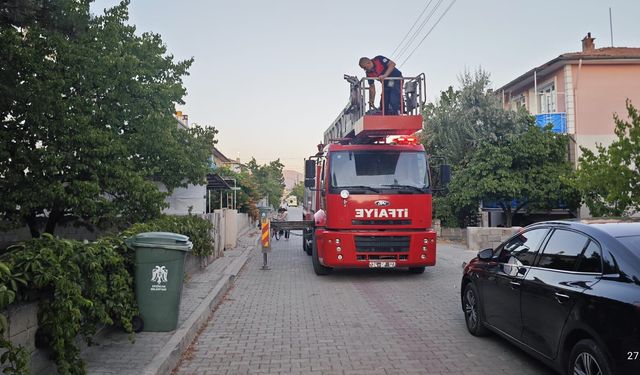 Erzincan'da Çatıda Mahsur Kalan Kedi İçin Zamanla Yarış!
