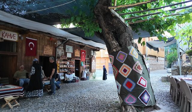 ‘Orda Bir Köy Var Uzakta’ Şiiri Erzincan’ın Hangi Köye Yazılmış. İşte O köy