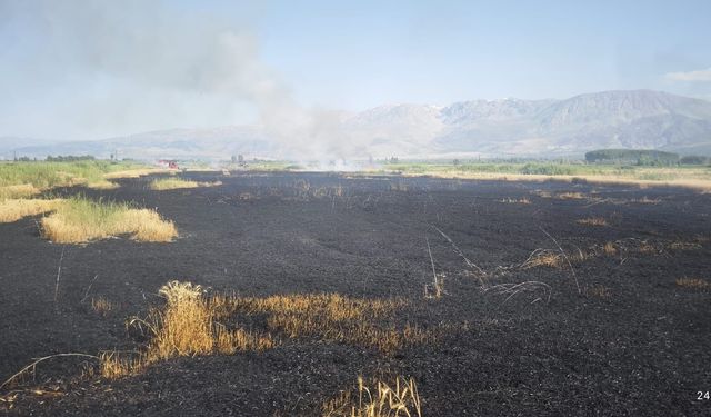 Erzincan'da  Korkutan Tarla Yangını! Buğday Ekinleri Alevlere Teslim Oldu