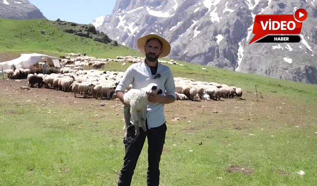Erzincan Tulum Peynirinin Lezzet Sırrı Yaylalarda..
