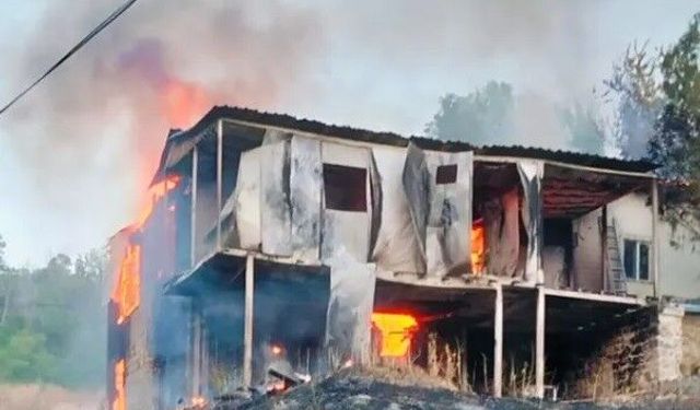 Kemah'ta Yürekleri Burkan Yangın.. Destek Çağrısı Geldi...