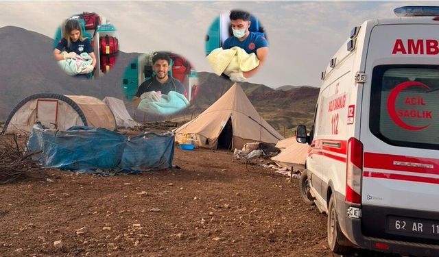 Munzur Dağlarında 8 Gün Arayla İki Mucize Doğum!