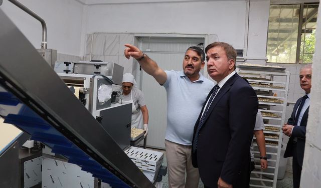 Vali Aydoğdu Üzümlü’de O İşletmeyi Ziyaret Etti: Üretimi Yerinde İnceledi