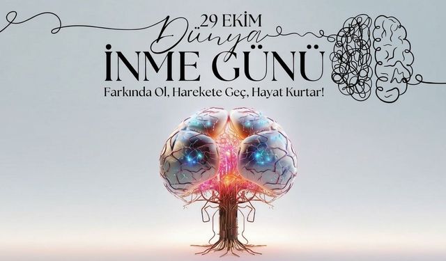29 Ekim İnme Günü: İnme Nedir?