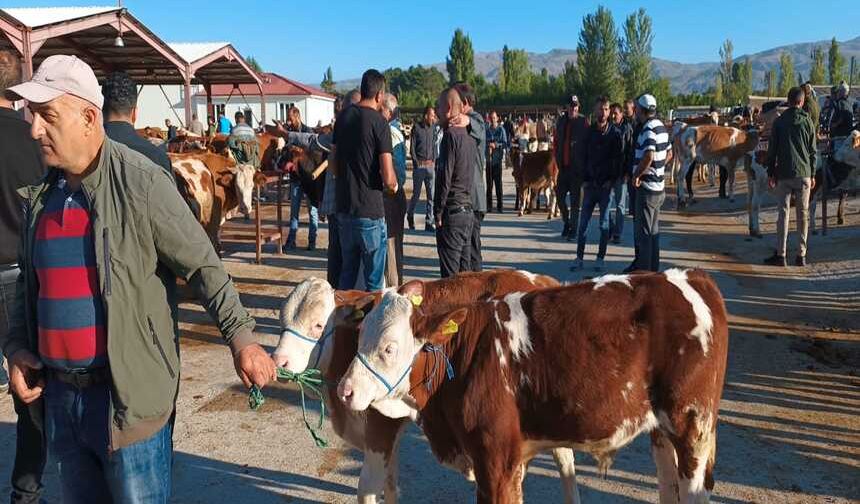 Erzincan’da hayvancılık nereye gidiyor! Pazar kalabalık ama endişeli bekleyiş var
