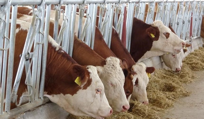 Erzincan'da yeni yönetimden saha hizmeti