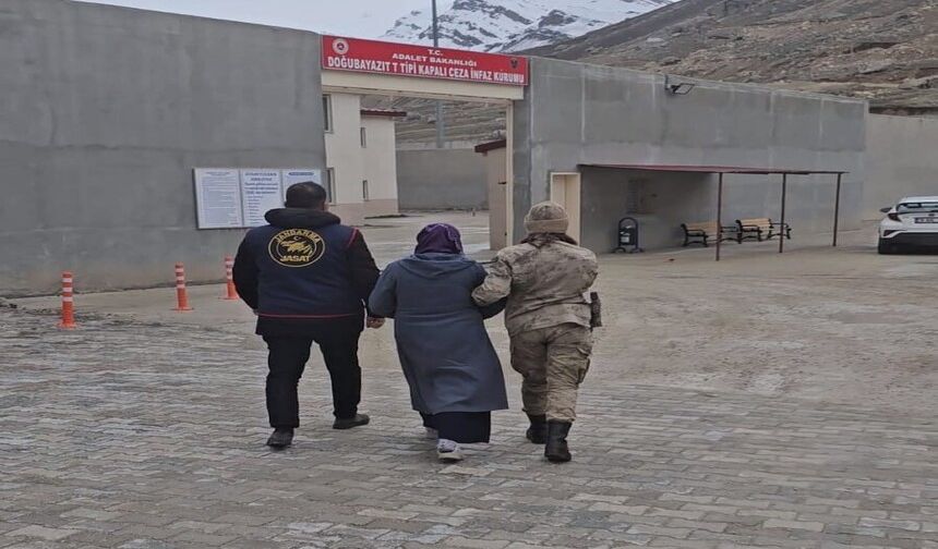 Erzincan’da JASAT MERCEK-5 operasyonu! 27 gözaltı 9 tutuklama