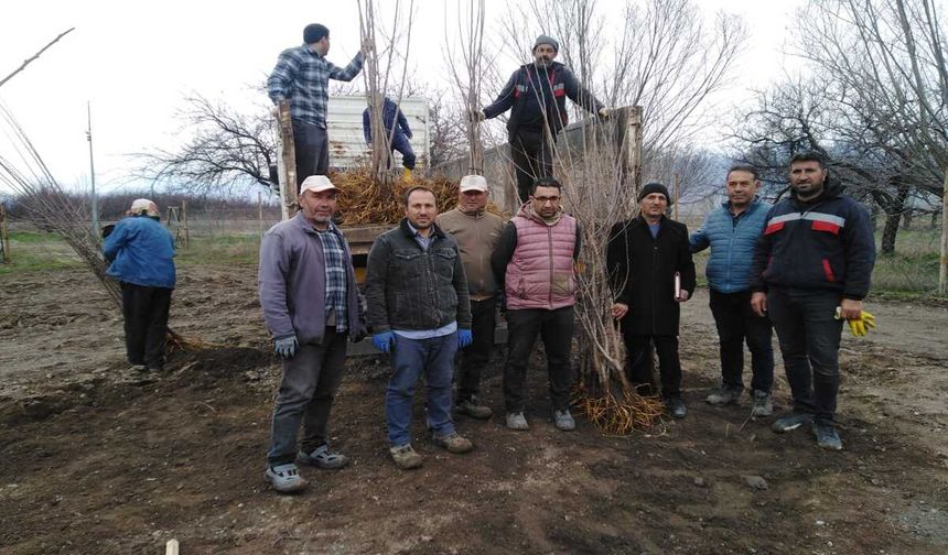 Erzincan’da “Ata Mirası Meyvelerin Geleceğe Taşınması Projesi” hayata geçiyor