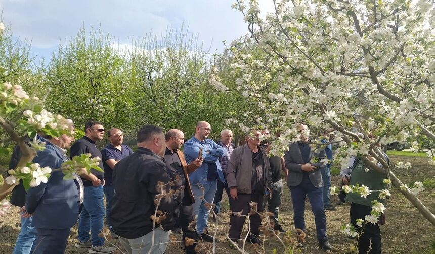 Erzincan’da “Meyve Ağacı Budama" kursu verildi